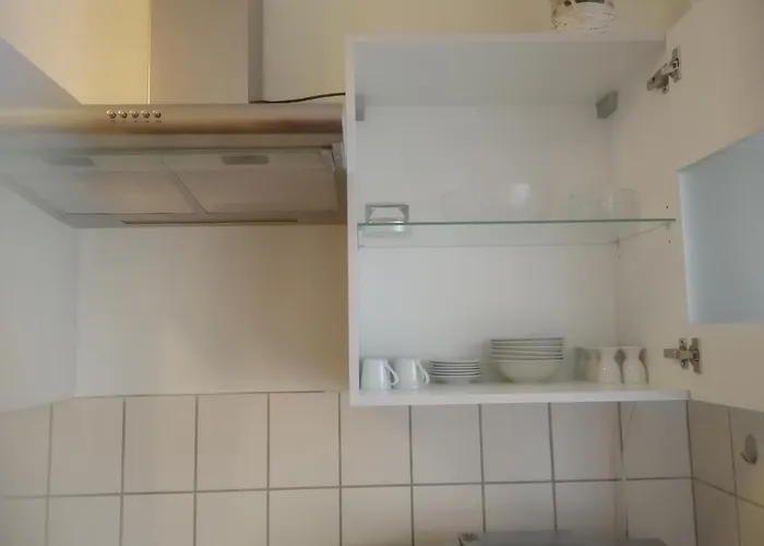 Leineblick * 希尔泽