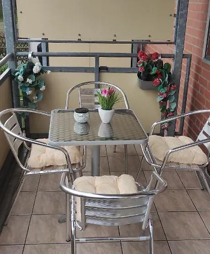 Leineblick 希尔泽