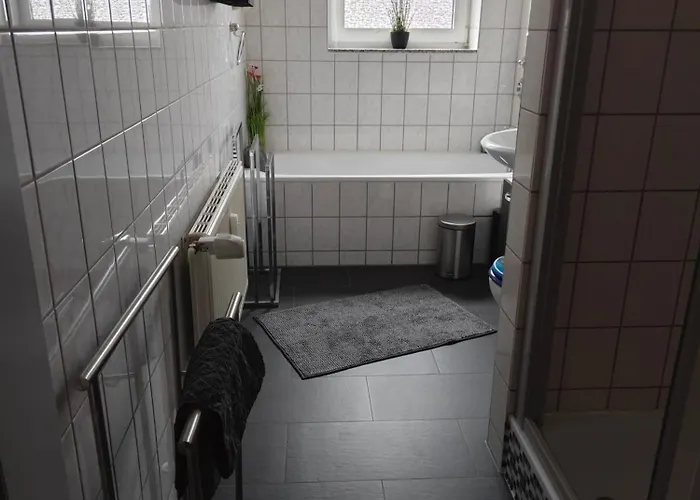 Leineblick * 希尔泽